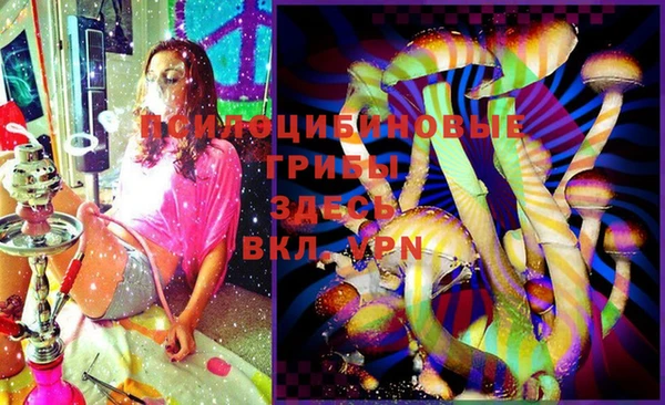 соль курить ск Алексеевка