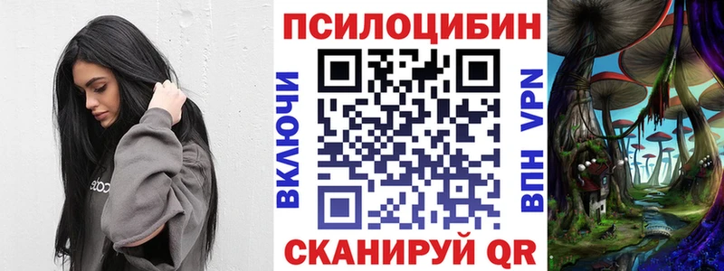 kraken зеркало  дарнет шоп  Видное  Псилоцибиновые грибы мицелий 